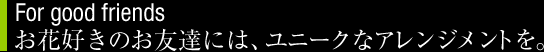 お花好きのお友達には、ユニークなアレンジメントを。